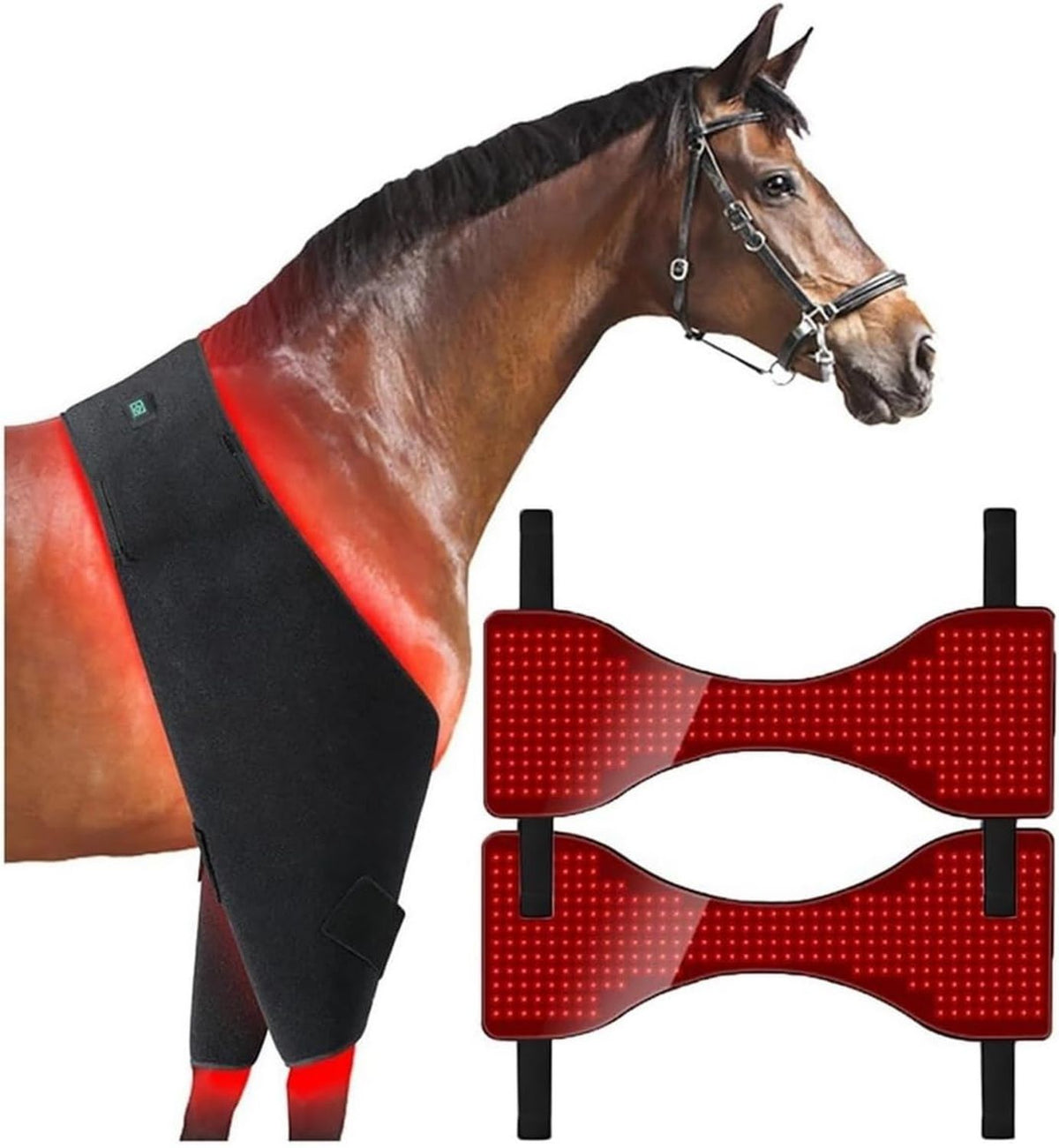 Dispositivo per terapia a luce rossa – allenamento total body, display LED, 660nm, 850nm