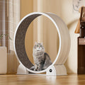 Tapis roulant – display digitale, funzionamento silenzioso, con display, 35dB